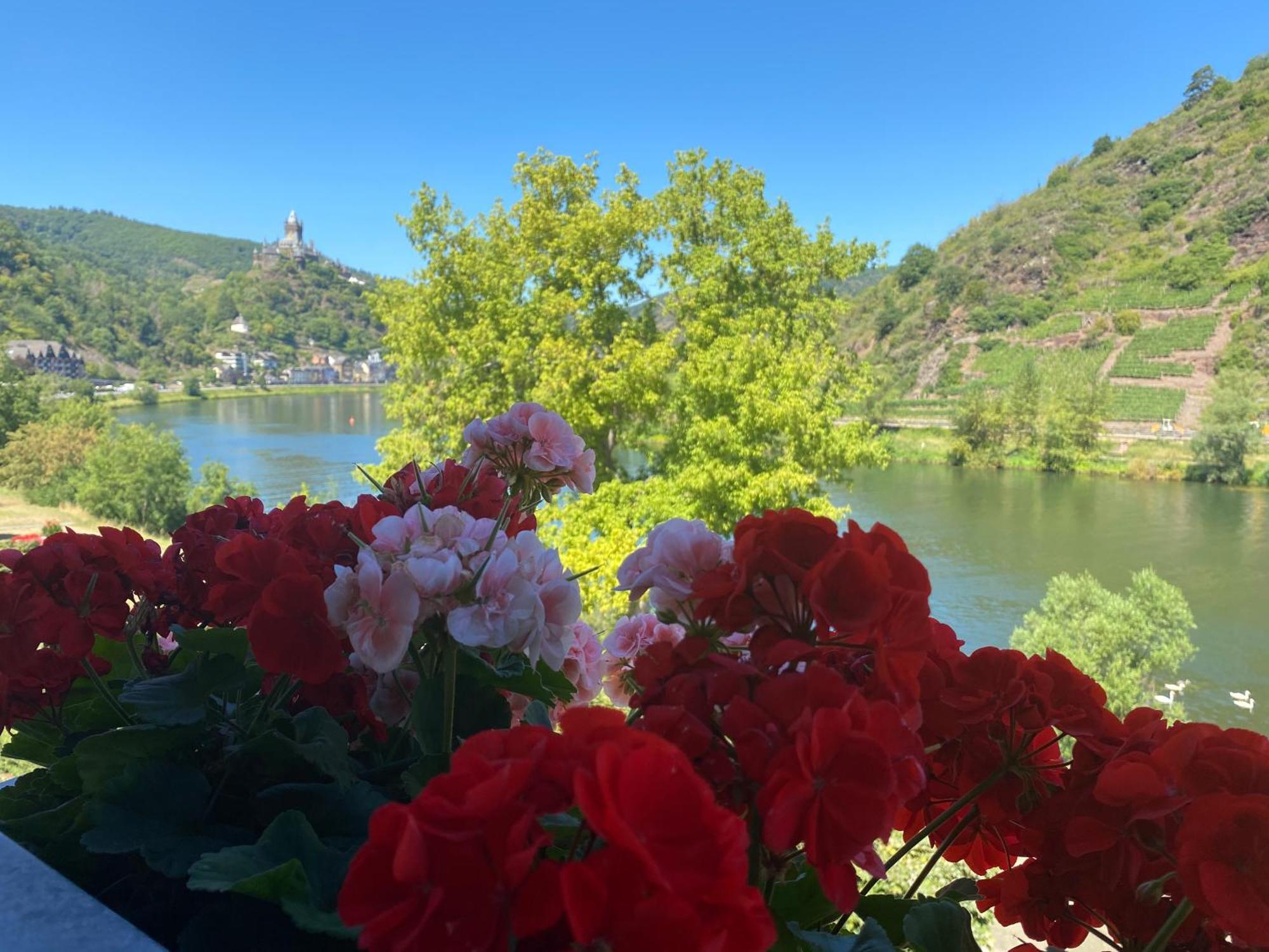 Hotel Altes Winzerhaus Cochem Oda fotoğraf